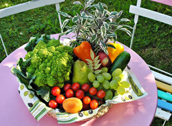 vegetarkost